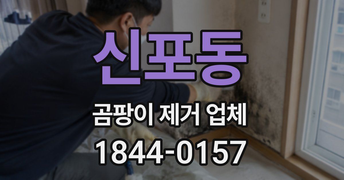 신포동 곰팡이 제거 업체