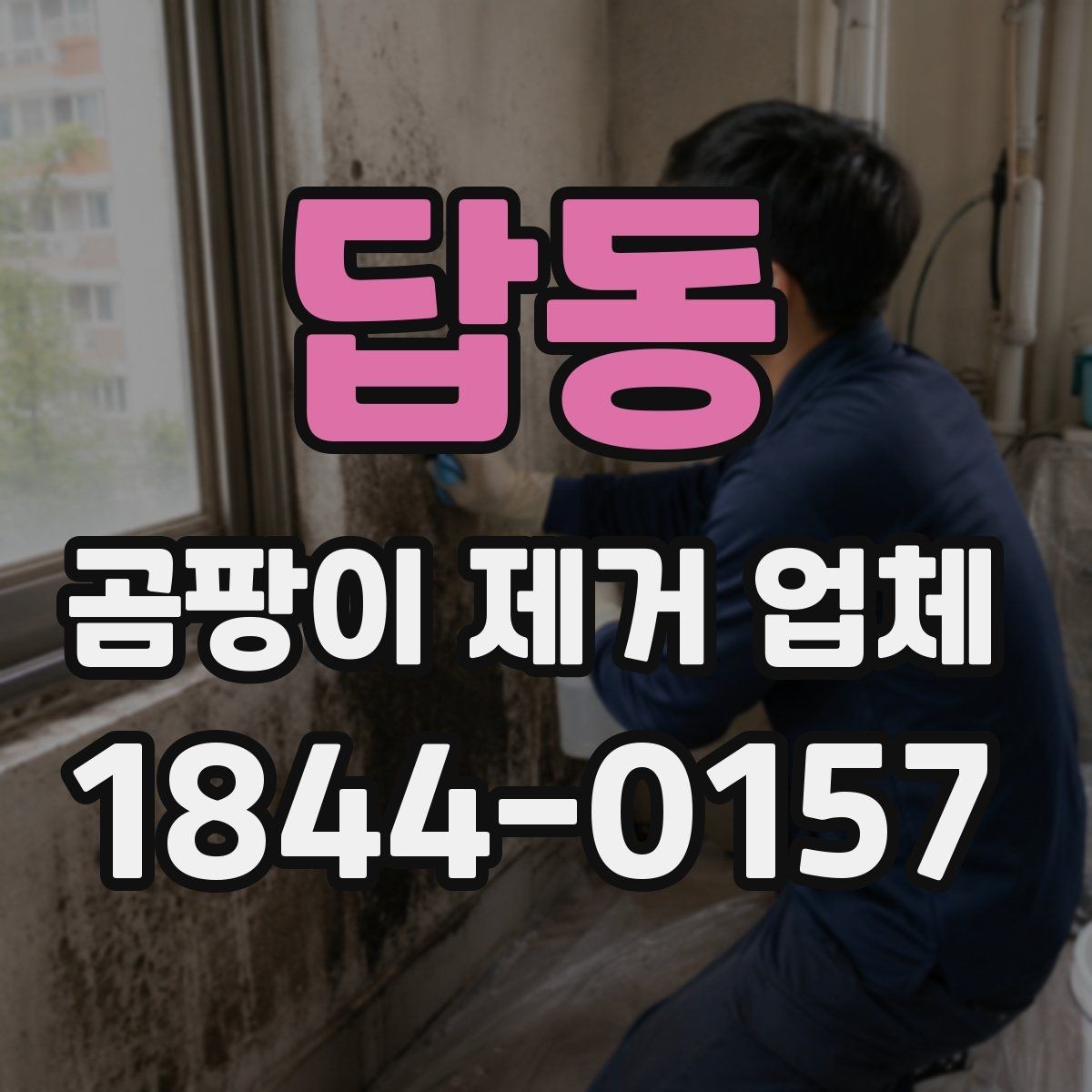 답동 곰팡이 제거 업체 선택 시 실내 환경까지 고려하기