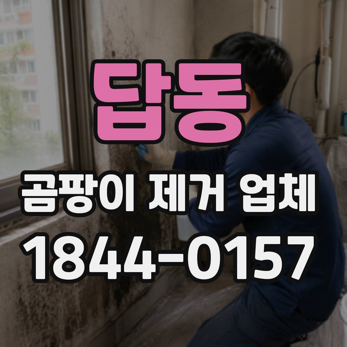 답동 곰팡이 제거 업체