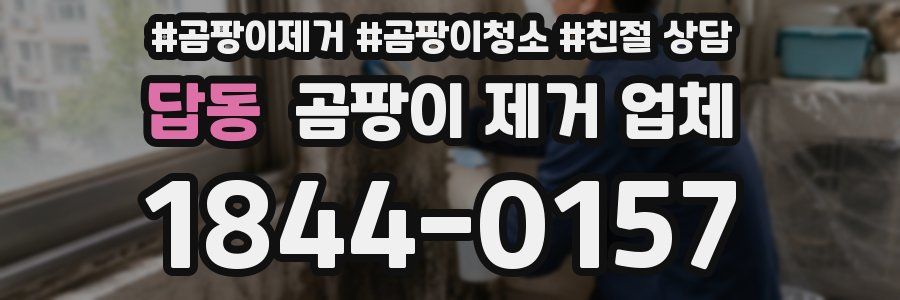 답동 곰팡이 제거 업체