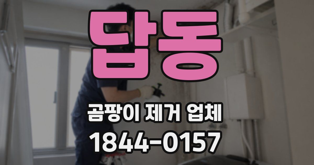 답동 곰팡이 제거 업체