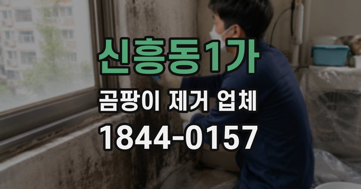신흥동1가 곰팡이 제거 업체