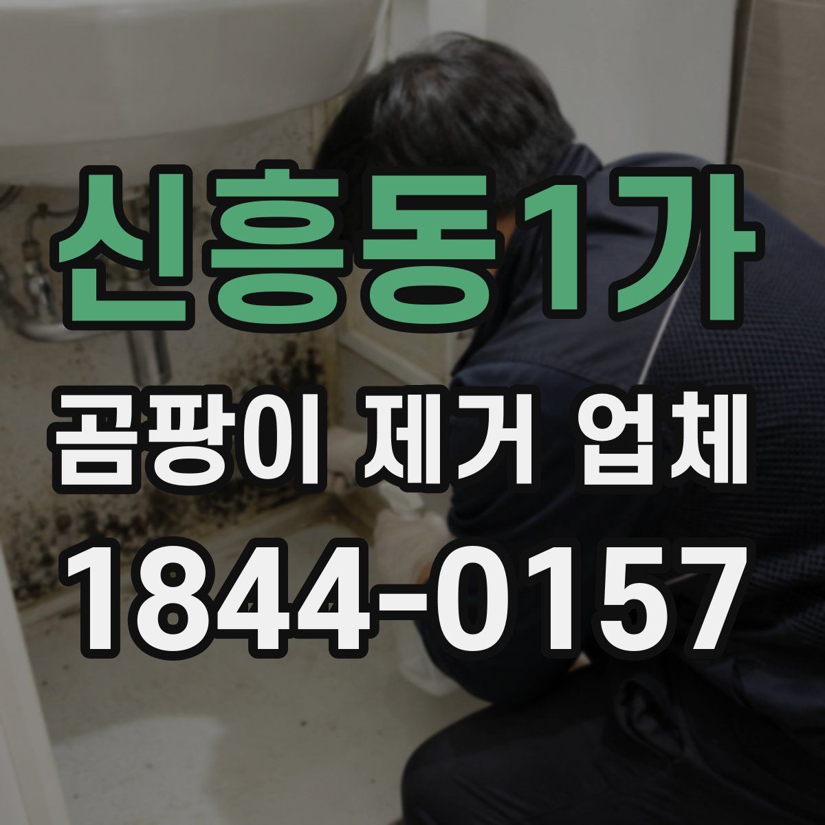 신흥동1가 곰팡이 제거 업체