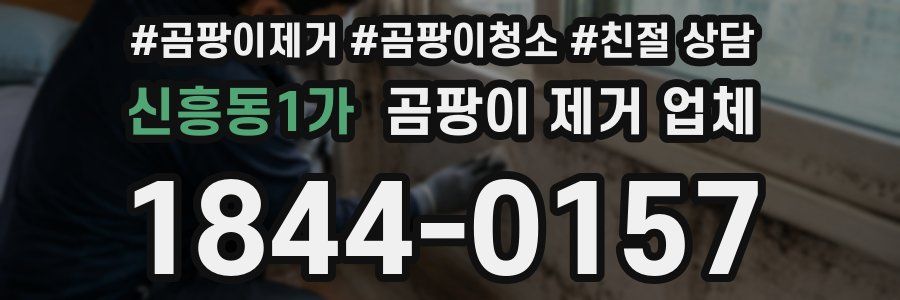 신흥동1가 곰팡이 제거 업체