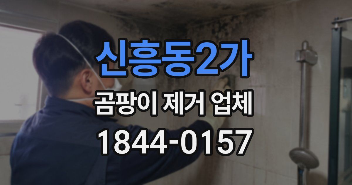 신흥동2가 곰팡이 제거 업체