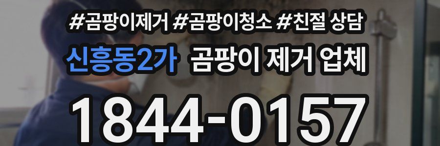 신흥동2가 곰팡이 제거 업체