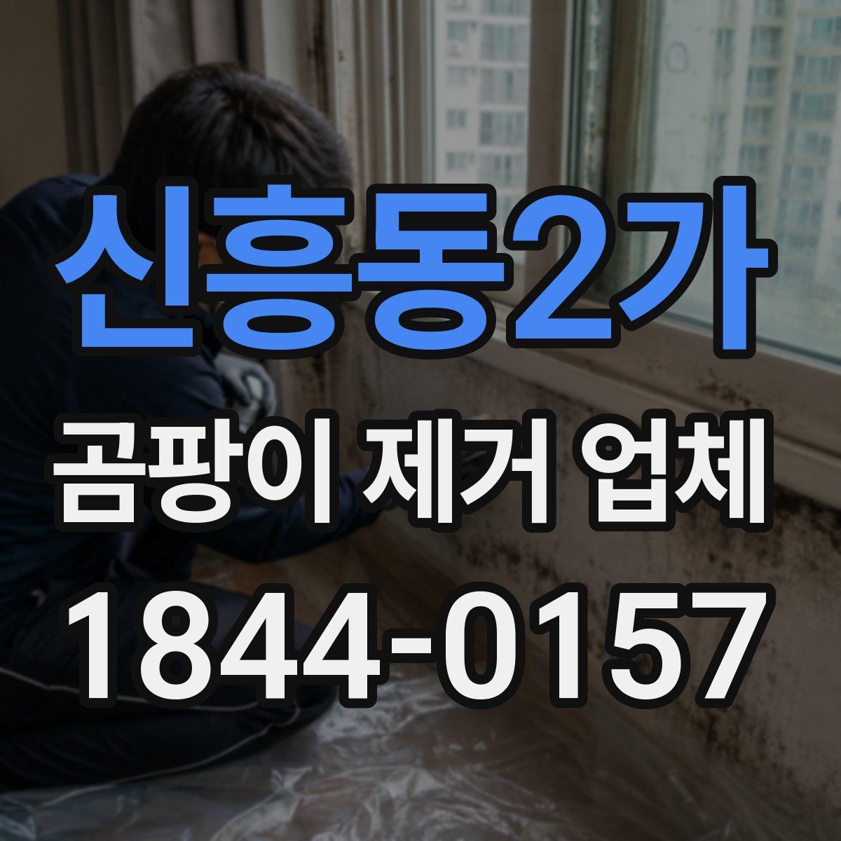신흥동2가 곰팡이 제거 업체