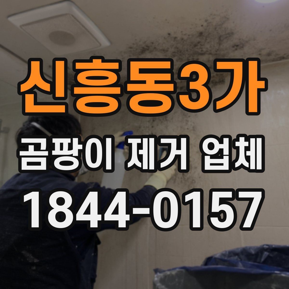 신흥동3가 곰팡이 제거 업체 시공 사례로 보는 진행 방식