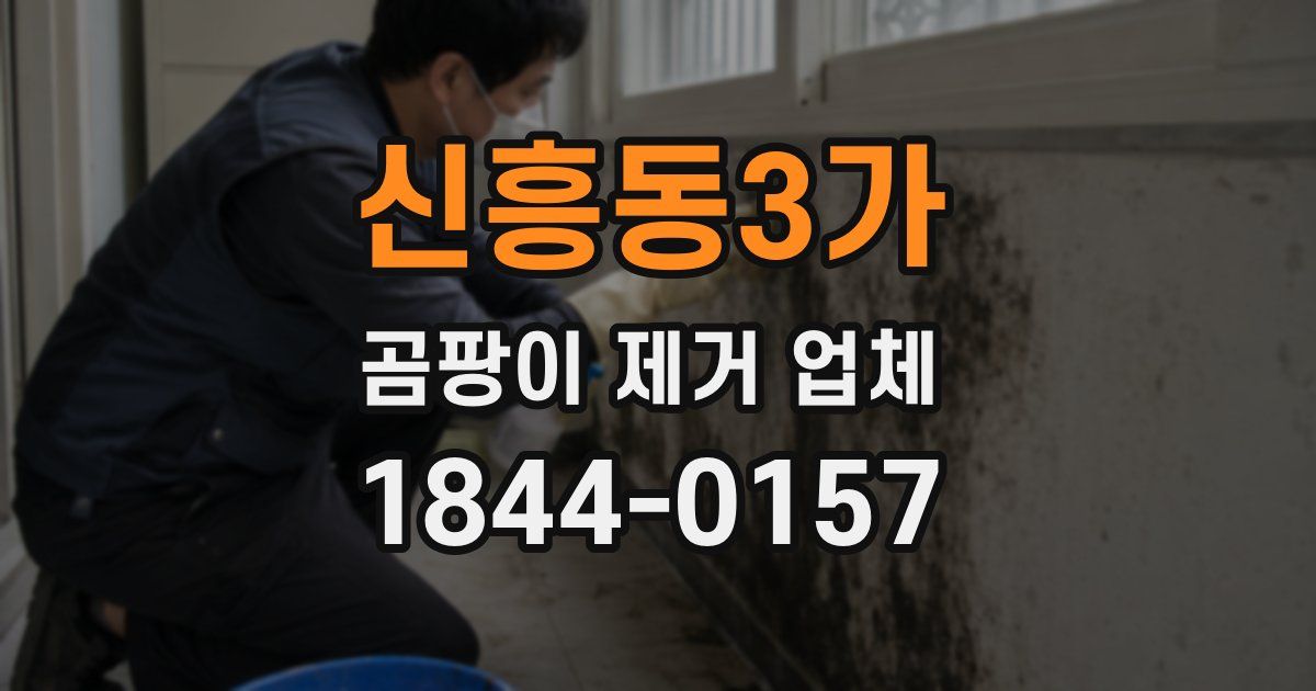 신흥동3가 곰팡이 제거 업체