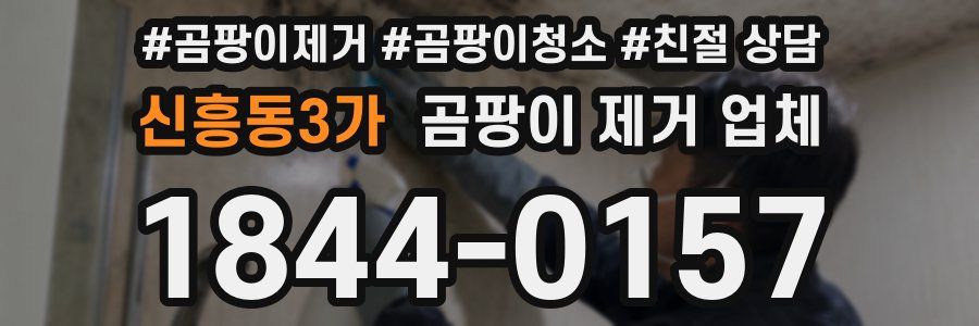 신흥동3가 곰팡이 제거 업체