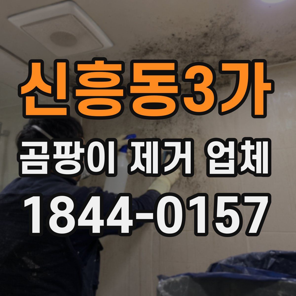 신흥동3가 곰팡이 제거 업체