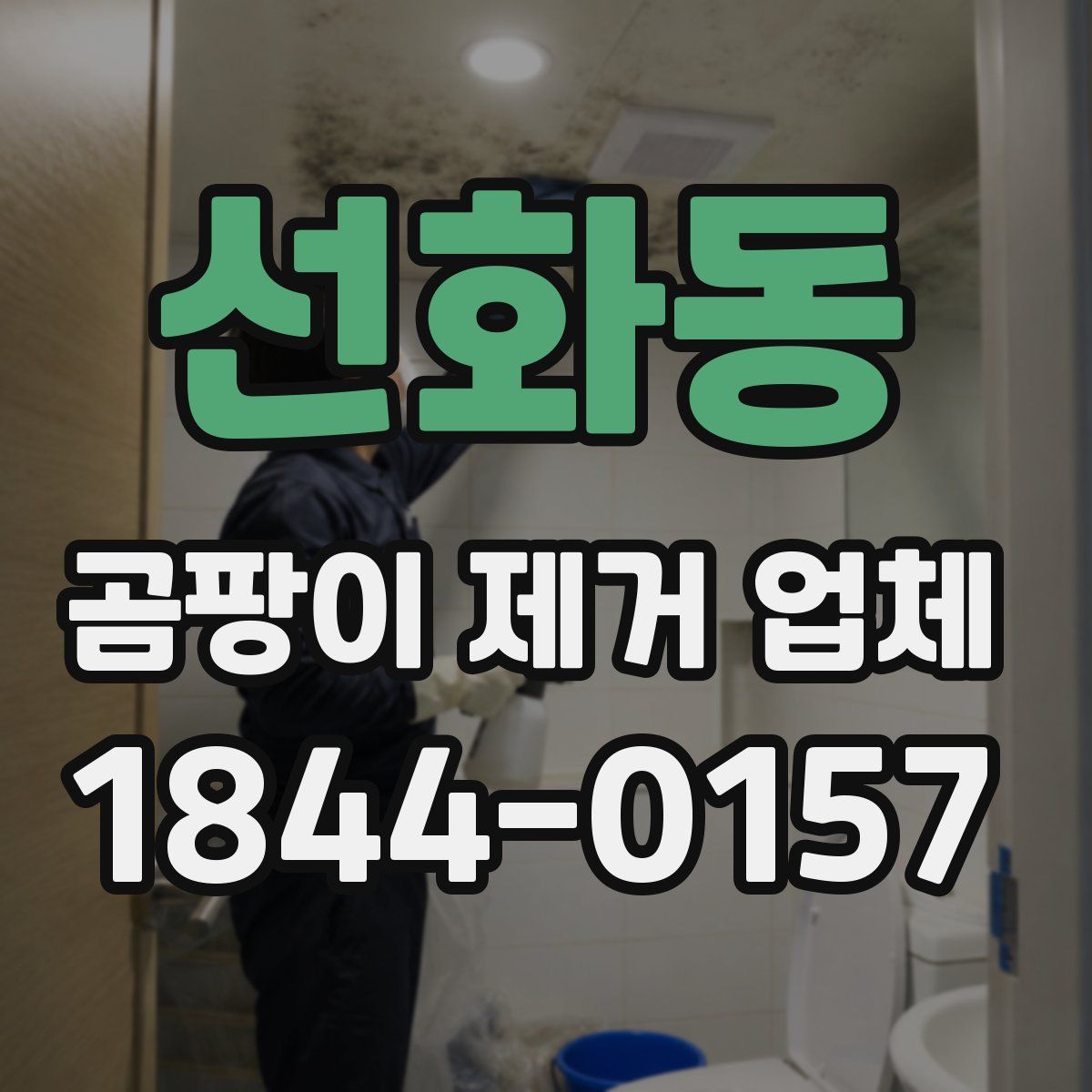 선화동 곰팡이 제거 업체