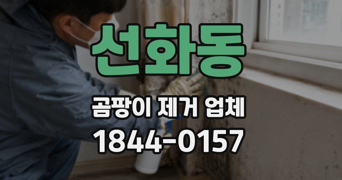 선화동 곰팡이 제거 업체