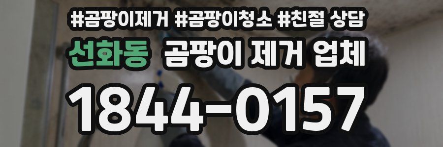 선화동 곰팡이 제거 업체