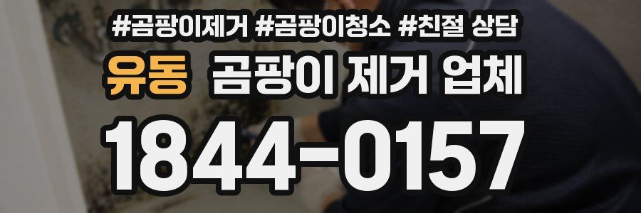 유동 곰팡이 제거 업체