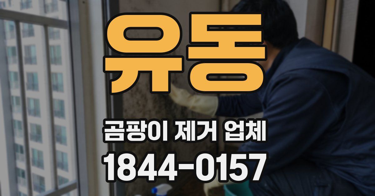 유동 곰팡이 제거 업체