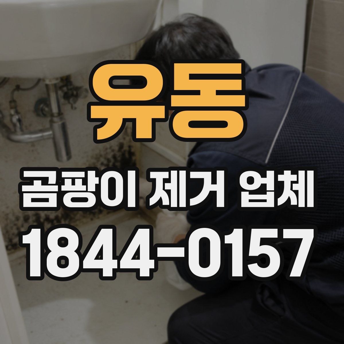 유동 곰팡이 제거 업체