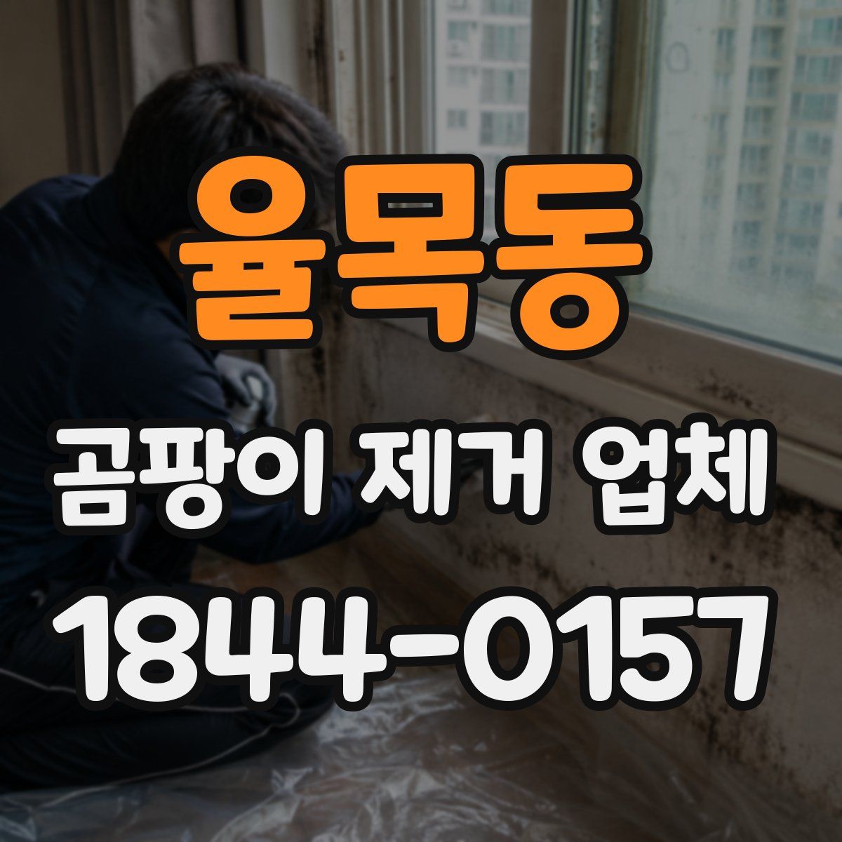 율목동 곰팡이 제거 업체