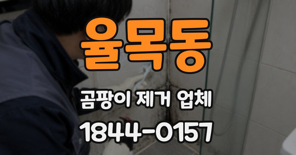 율목동 곰팡이 제거 업체