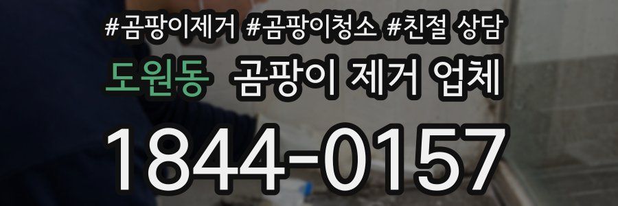도원동 곰팡이 제거 업체