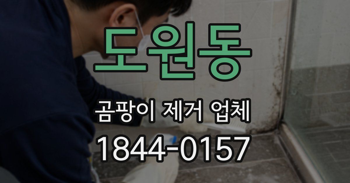 도원동 곰팡이 제거 업체