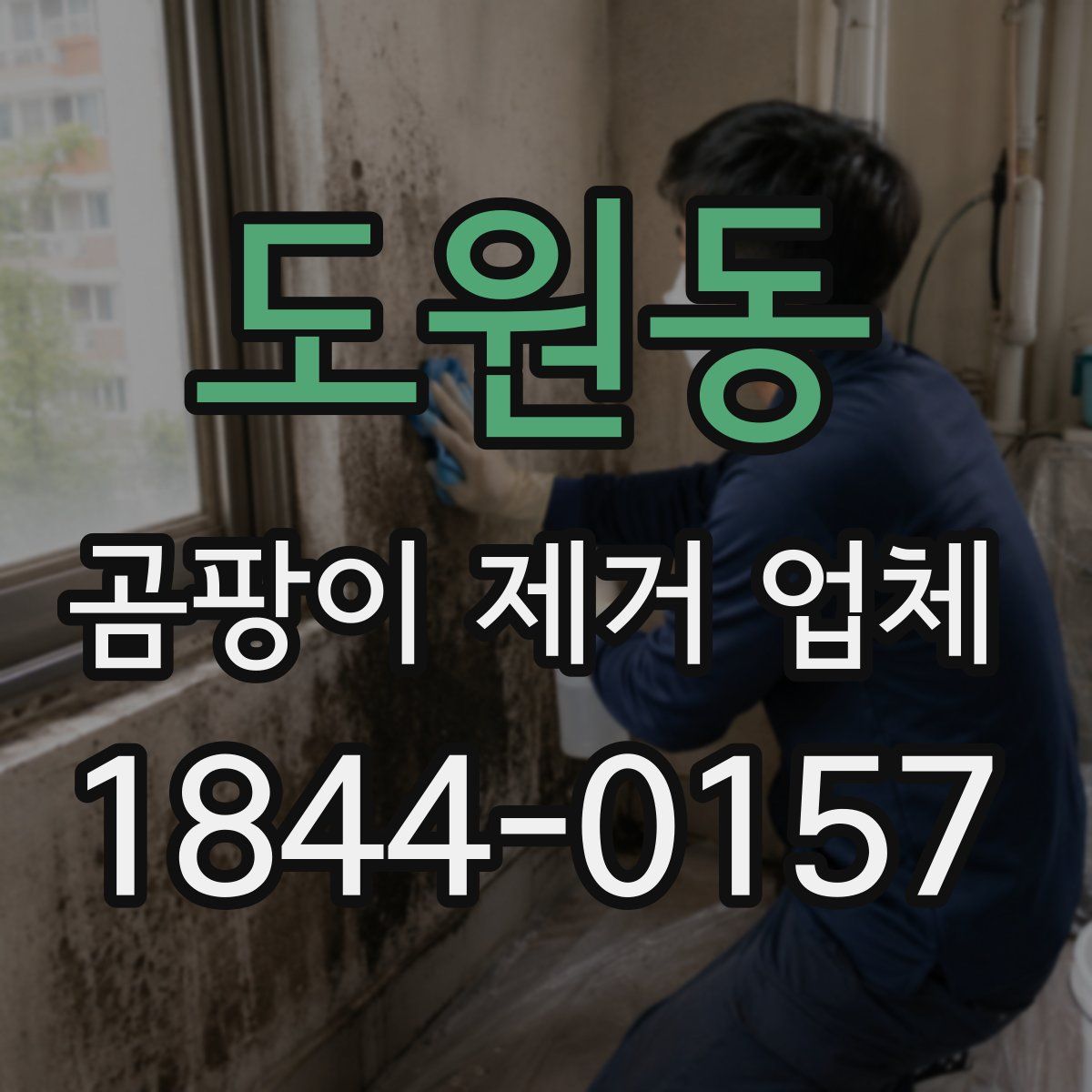 도원동 곰팡이 제거 업체