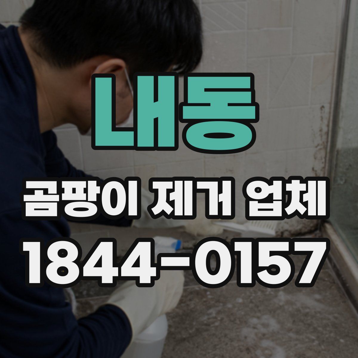 내동 곰팡이 제거 업체