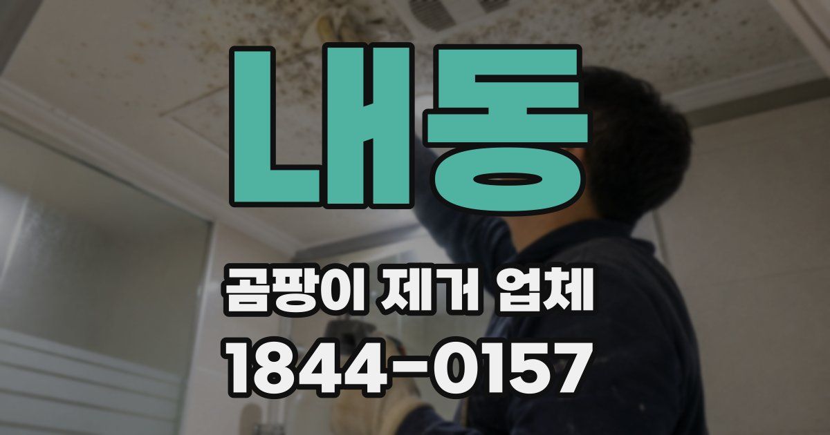 내동 곰팡이 제거 업체