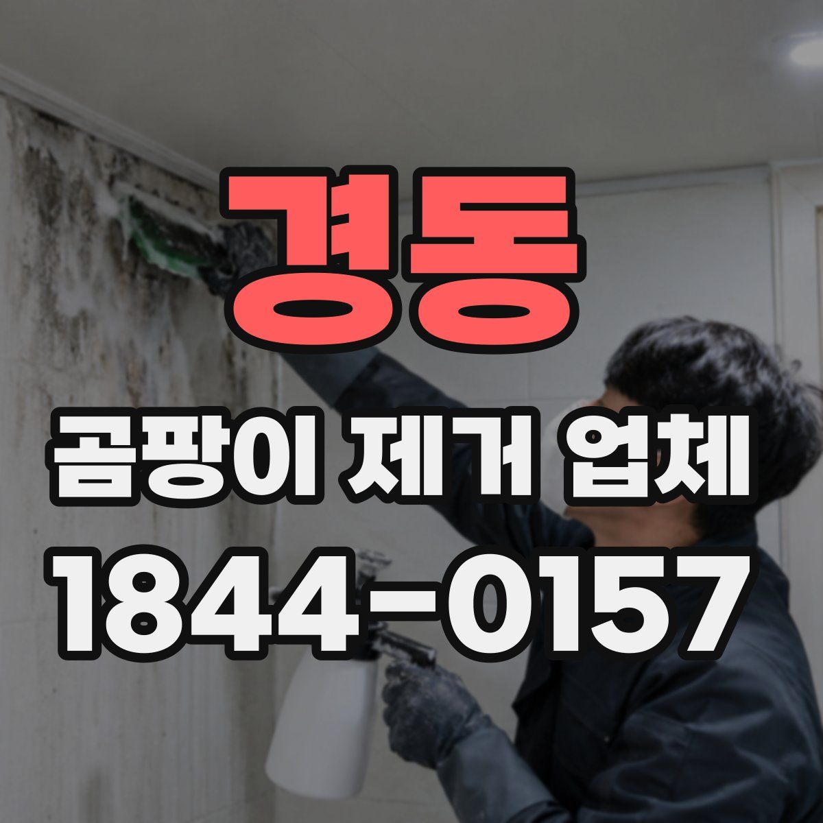 경동 곰팡이 제거 업체