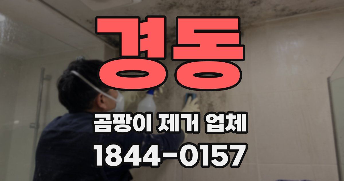 경동 곰팡이 제거 업체