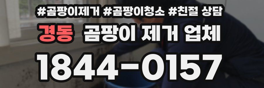 경동 곰팡이 제거 업체