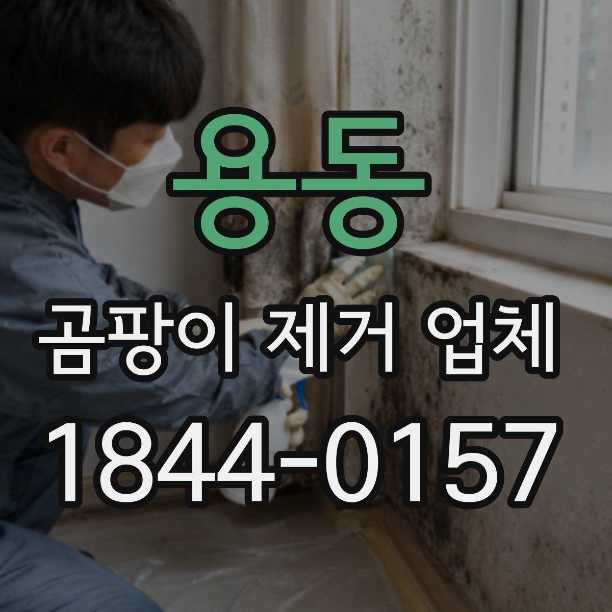 용동 곰팡이 제거 업체