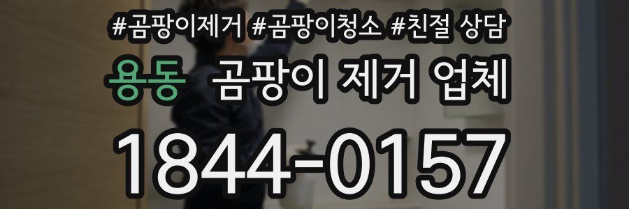 용동 곰팡이 제거 업체
