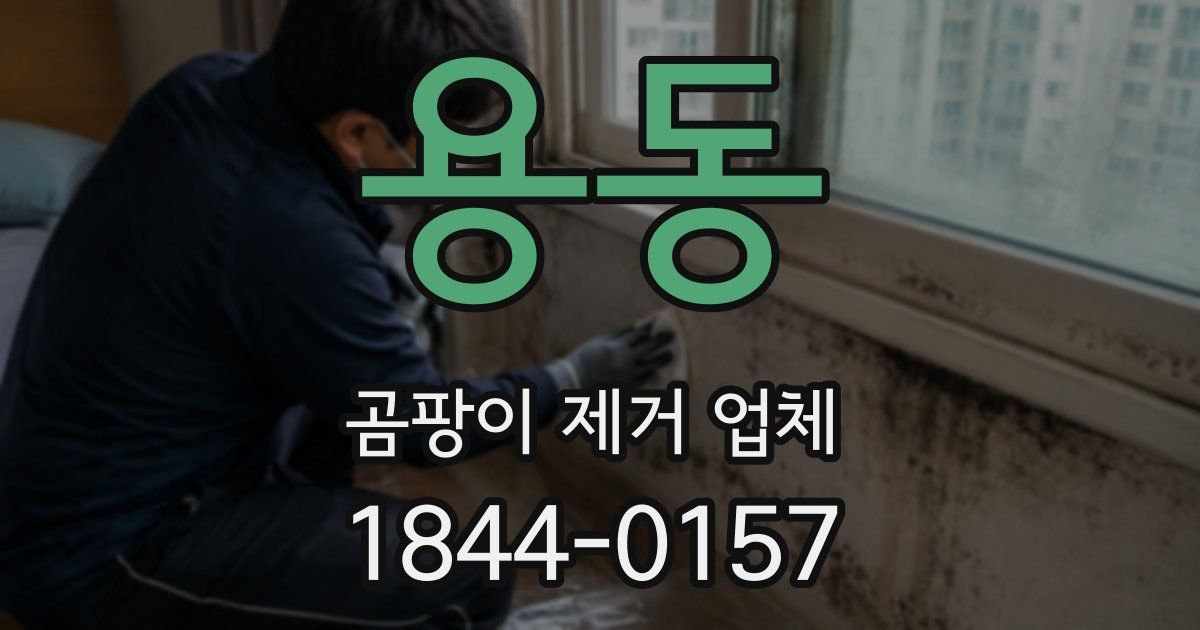용동 곰팡이 제거 업체