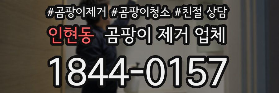 인현동 곰팡이 제거 업체