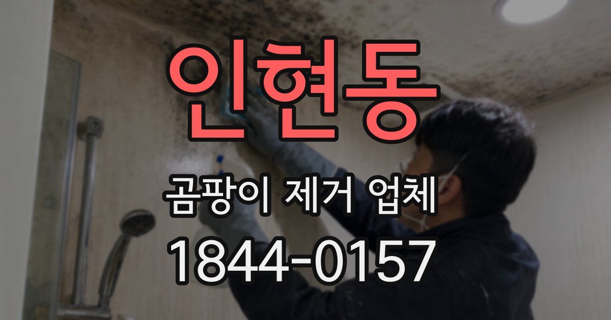 인현동 곰팡이 제거 업체