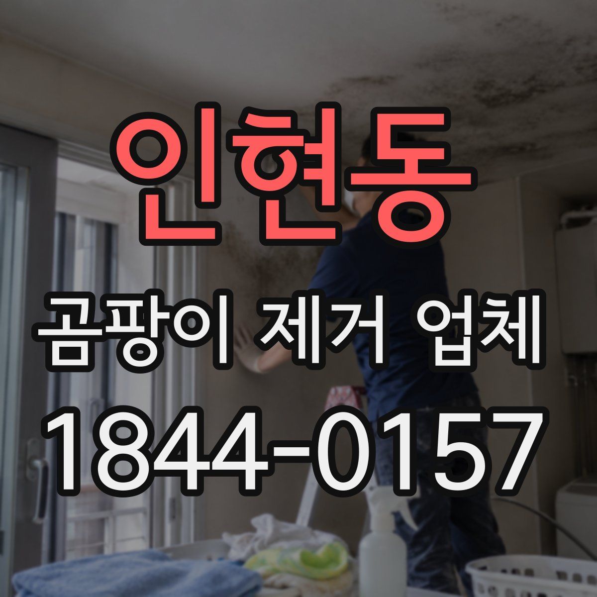 인현동 곰팡이 제거 업체