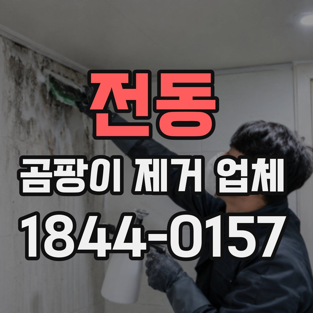 전동 곰팡이 제거 업체