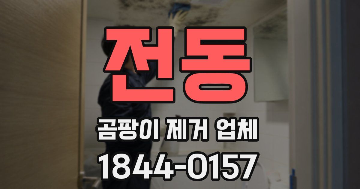 전동 곰팡이 제거 업체