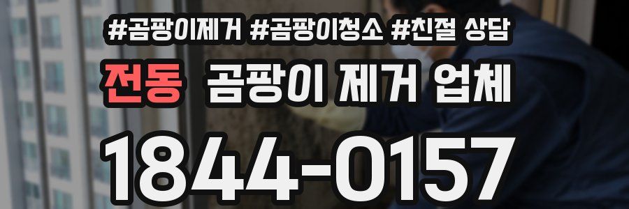 전동 곰팡이 제거 업체