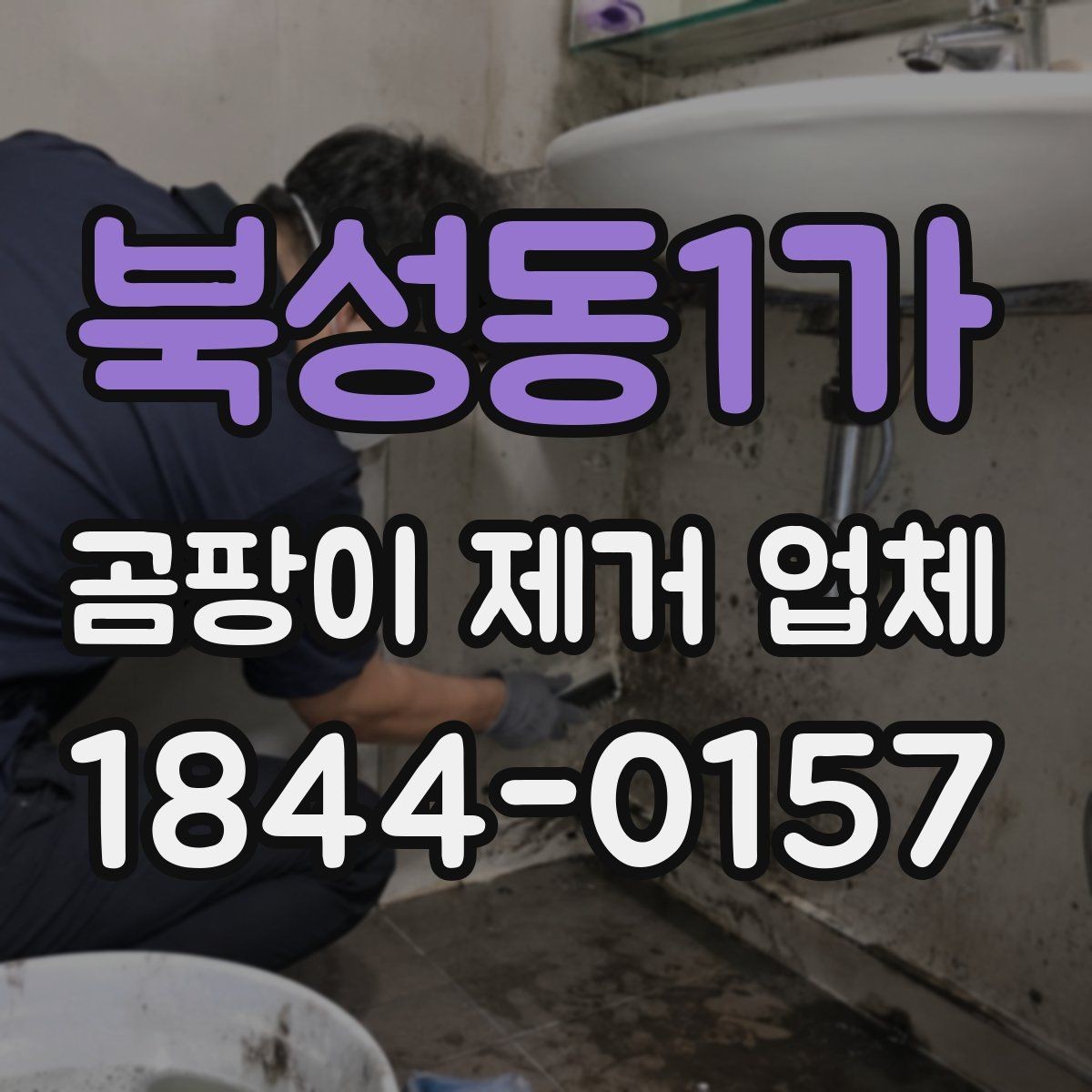 북성동1가 곰팡이 제거 업체 이용 시 예상 소요 시간