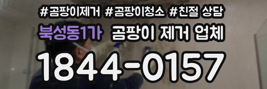 북성동1가 곰팡이 제거 업체