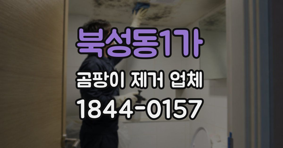 북성동1가 곰팡이 제거 업체