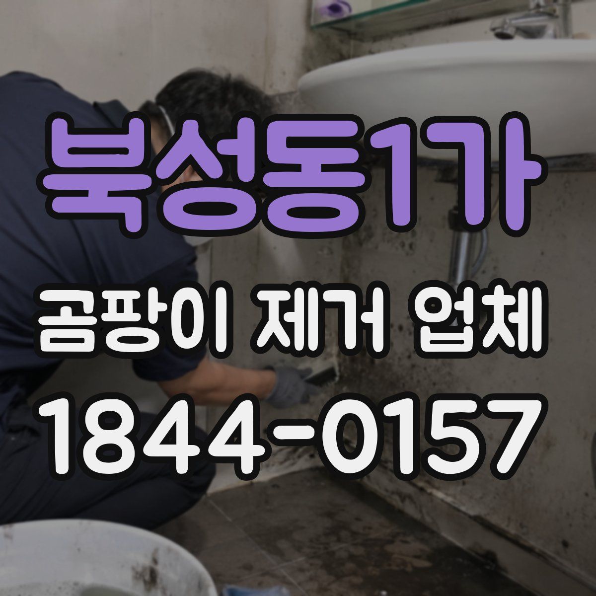 북성동1가 곰팡이 제거 업체