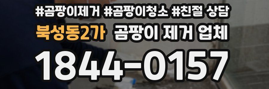 북성동2가 곰팡이 제거 업체