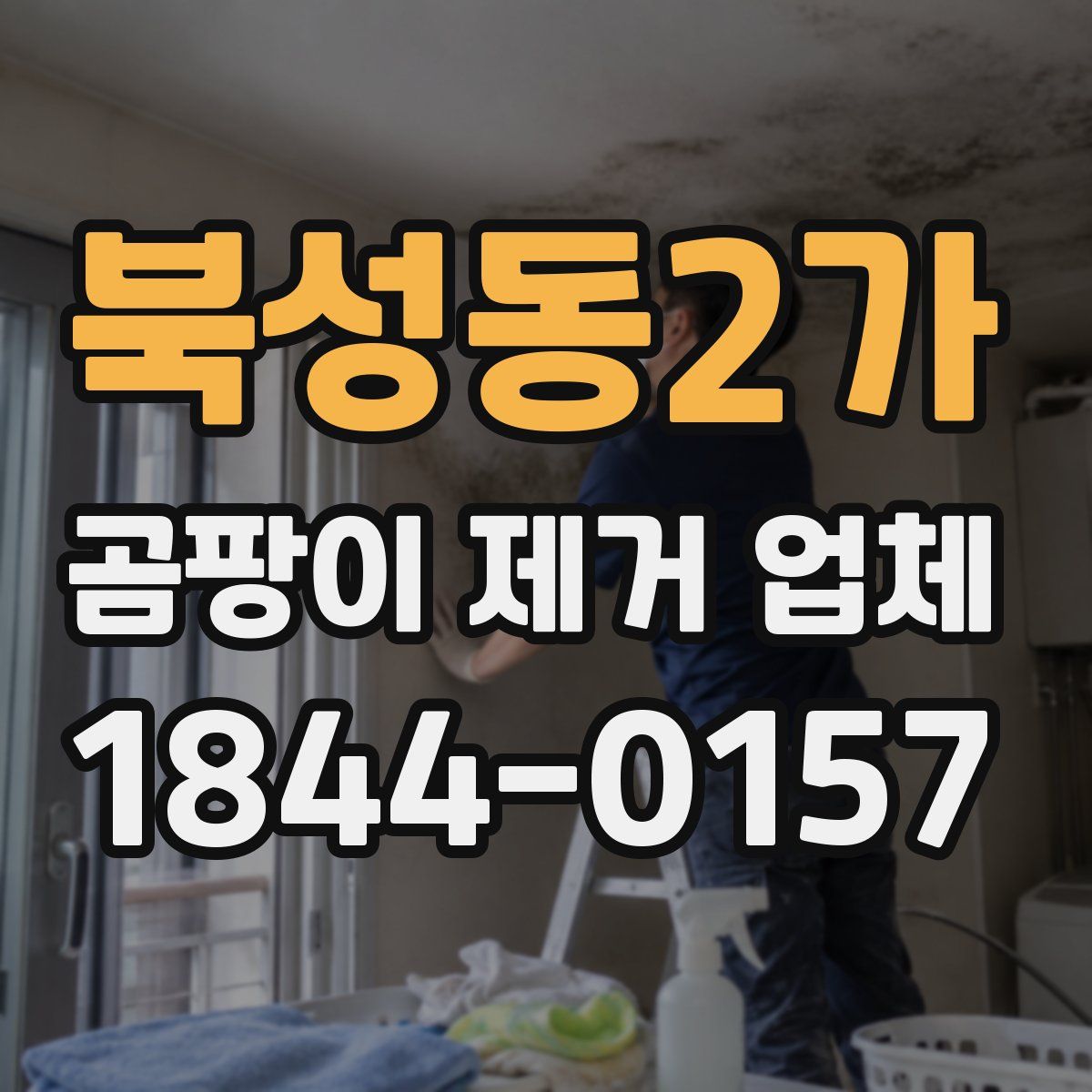 북성동2가 곰팡이 제거 업체