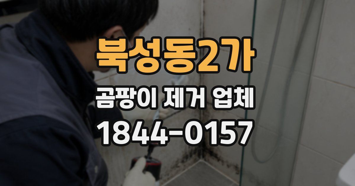 북성동2가 곰팡이 제거 업체