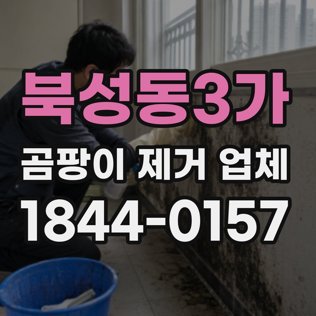 북성동3가 곰팡이 제거 업체 선택 기준을 상황별로 정리