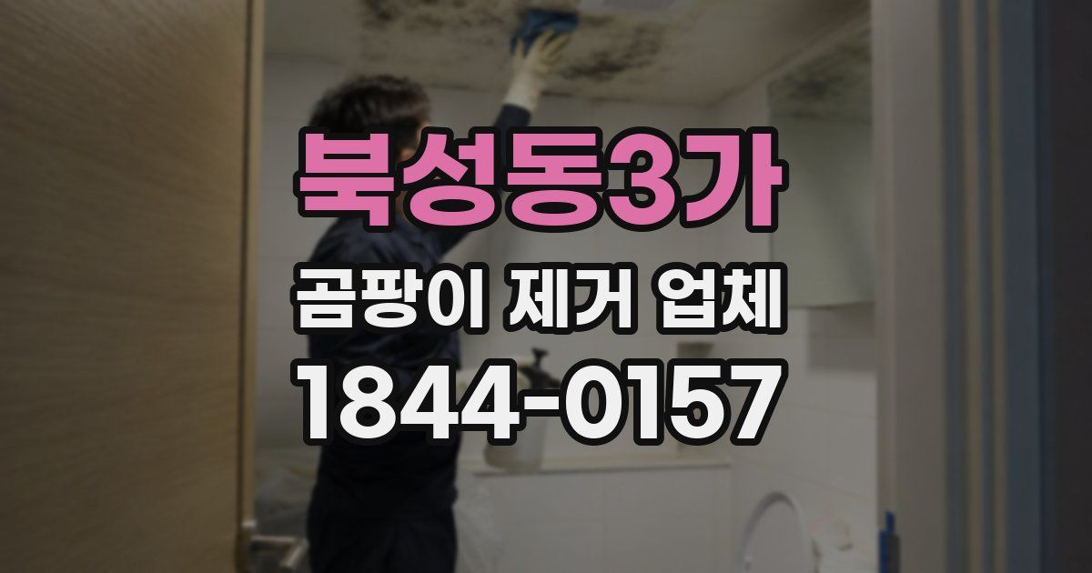 북성동3가 곰팡이 제거 업체