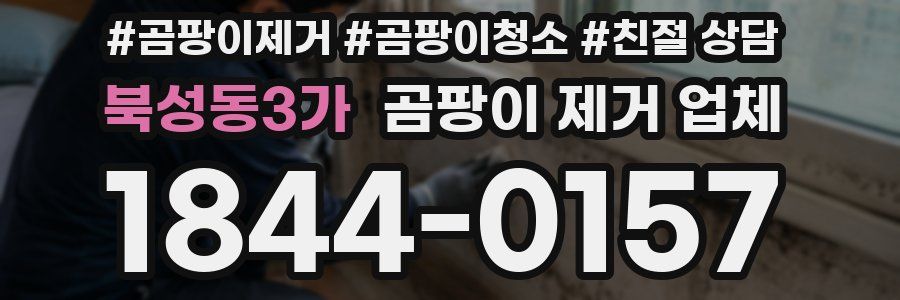 북성동3가 곰팡이 제거 업체
